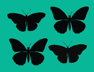 beautyful silhouettes