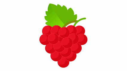 raspberry with leaves