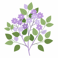 lilac branch with leaves