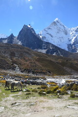 Hiking at the foot of Lhotse, Ama Dablam and Mount Everest in the Himalayan Khumbu Valley, Nepal