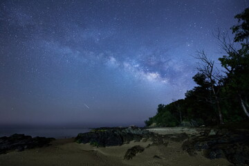 沖縄の海辺の森と天の川と流星