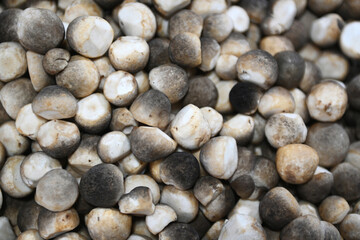 Straw mushrooms are edible mushrooms cultivated in East and Southeast Asia. They are widely Used as an ingredient in Asian cooking.