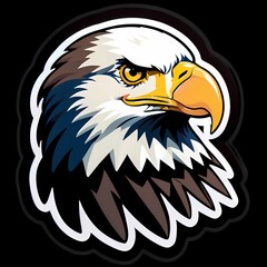 Fototapeta premium american bald eagle illustration