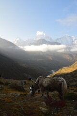 The stunning Khumbu Valley region of Nepal with views of Ama Dablam and Mount Everest in the snowy...