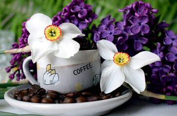 Daffodils flowers consist of six white petals. Lilacs are small but tempt with their aroma. Coffee beans on the table in a cup