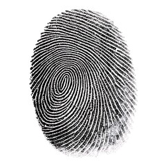 human ink fingerprint isolated on white background