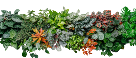 Vibrant green leafy display indoor garden plant arrangement lush environment close-up view nature's diversity on transparency png background