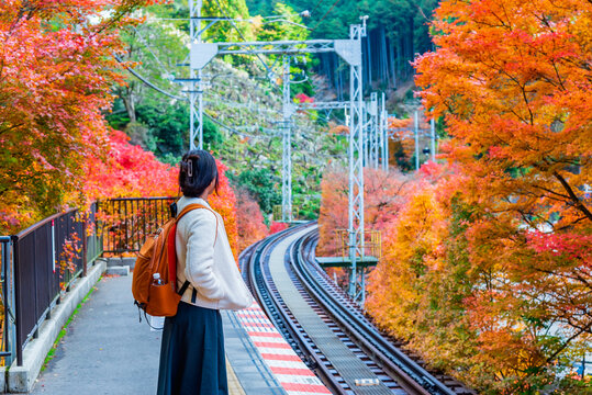 Woman tourist waiting for the train at railway station with autumn leaves background in Kyoto Japan.