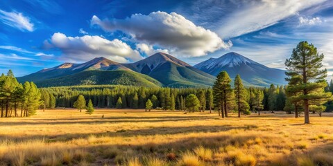 Obraz premium Panoramic view of serene Lockett Meadow surrounded by majestic San Francisco Peaks in Flagstaff, Arizona's natural beauty on full display, lockett meadow, arizona