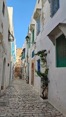Obraz premium The colourful charming doors and entrances of local homes in Tunis, North Africa