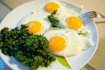 Scrambled eggs with spinach on a plate