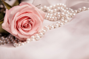 The branch of pink rose on white fabric background
