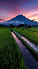 Serene Sunset Over Rice Paddies and Majestic Volcano