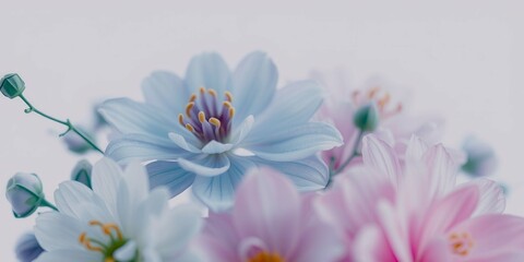 Obraz premium A bouquet of flowers with a white background. The flowers are pink, blue, and white
