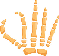 Cartoon skeleton hand bones making ok sign isolated on white background