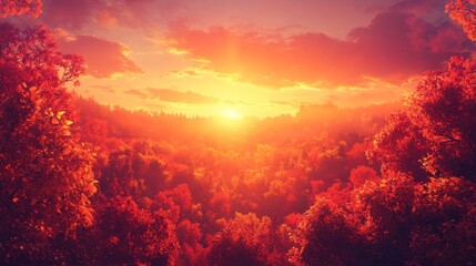 Naklejka premium Vibrant sunset illuminating an autumn forest with warm golden and red tones