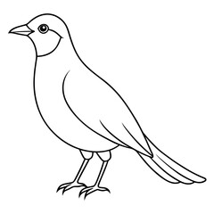 Obraz premium illustration of a bird