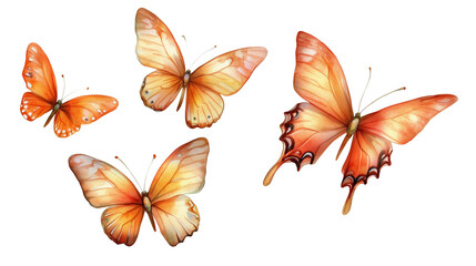 Orange butterflies in watercolor style isolated on white or transparent png 

