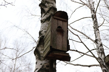 bird house on tree