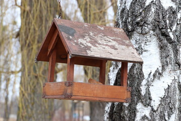 bird house in winter