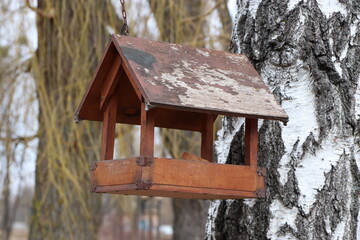 bird house in winter