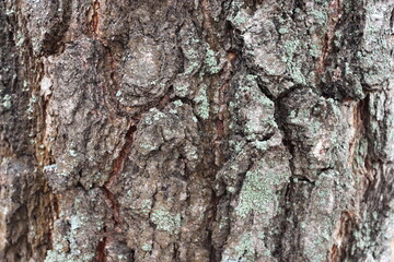 texture