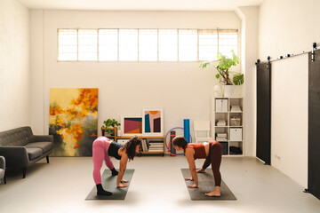 Two women on yoga mats in a bright home gym setting, bending forward while preparing for a deep forward bend pose, surrounded by modern furniture and indoor plants.
