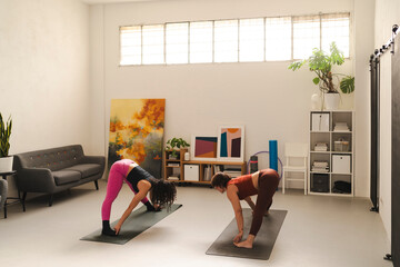 Two women on yoga mats in a bright home gym setting, bending forward while preparing for a deep forward bend pose, surrounded by modern furniture and indoor plants.
