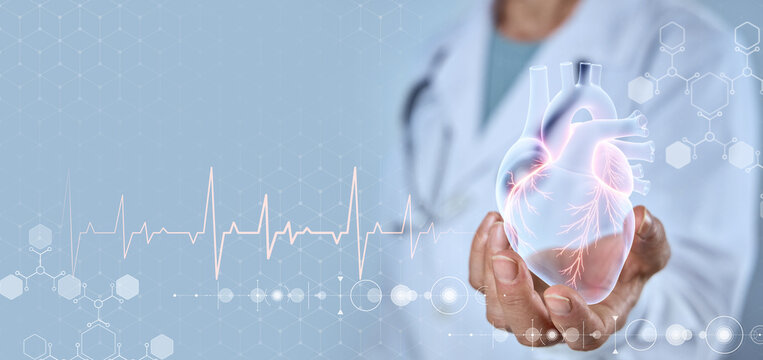 Doctor touches hologram on modern interface. Concept of health monitoring, health insurance, training with modern technologies.