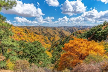 Fototapeta premium Autumn mountain landscape with colorful forest and blue sky