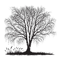 Obraz premium Birch Tree Silhouette - Detailed Tree Shadow for Digital Art - Birch Tree Vector - Birch Tree Illustration - Minimalist Birch Silhouette - Birch Vector - Birch Digital Art 