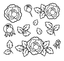Hand drawn flower elements, peonies, roses, leaves, buds. Set of contour illustrations for cards, coloring pages, tattoos, vintage, logo, line art, botanical elements