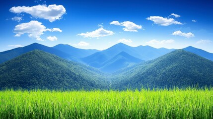 Fototapeta premium Expansive Mountain View with Lush Green Grass Under Blue Sky