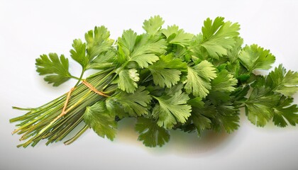 Fototapeta premium bunch of fresh parsley