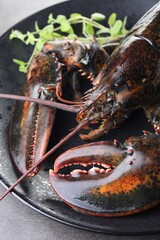 Raw lobster and microgreens on grey textured table, closeup