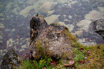 Nature rock formation beside a clear body of water in a tranquil setting