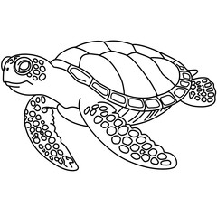 turtle. Coloring book page for adult. Underwater seabed with algae and corals, line art design and fish.