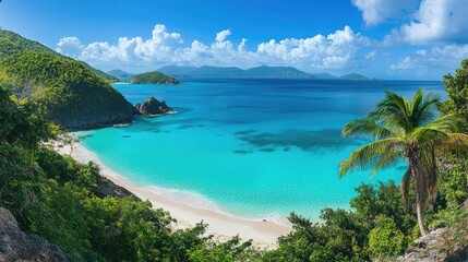 Fototapeta premium Panoramic view of a tropical coastline with crystal-clear turquoise waters, bright white sands, and vibrant palm trees