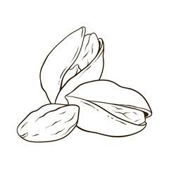 Pistachios nuts in shell and kernels, hand drawn vector food illustration