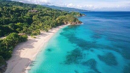 Obraz premium A tranquil tropical paradise with turquoise water, white sand beaches, and lush green palm trees under clear, sunny skies