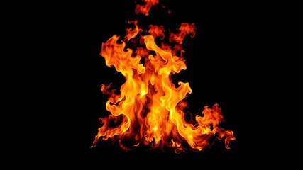 Obraz premium Dramatic and powerful flames against a stark black background, aggressive, primal, raw