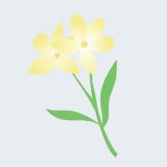 Fototapeta premium Minimalist illustration of two bright yellow flowers with soft petals and dark yellow pistils