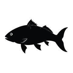 fish vector illustration