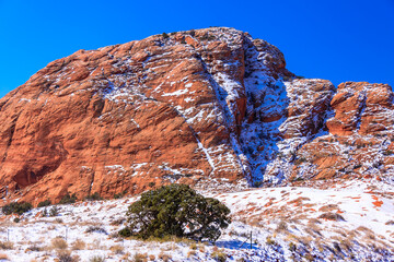 A snow covered mountain with a tree in the foreground