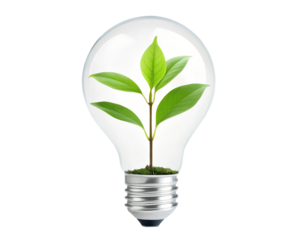 Green Plant Growing Inside a Light Bulb, Sustainable Gardening, Eco-Friendly Home Decor