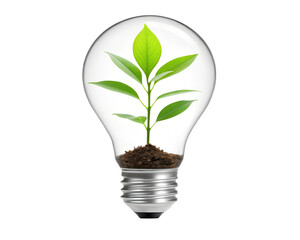 Green Plant Growing Inside a Light Bulb, Sustainable Home Decor, Eco-Friendly Indoor Garden