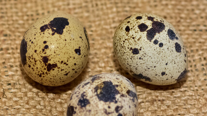photos of quail eggs on a white background.