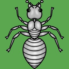 Ant top view black and white image isolated on green, cartoon character.