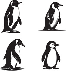 Fototapeta premium Penguin Silhouette white background