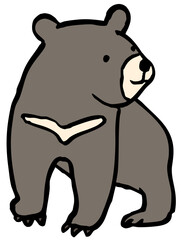 illustration of a bear